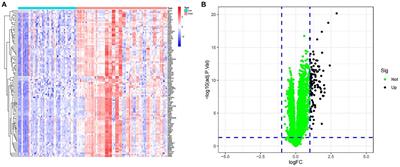 Identification of marker genes for spinal cord injury